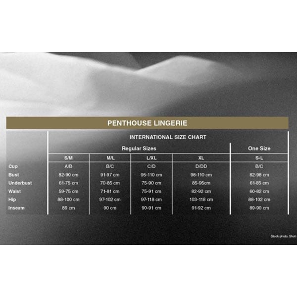 Penthouse Teaser erotický kostým slúžka black