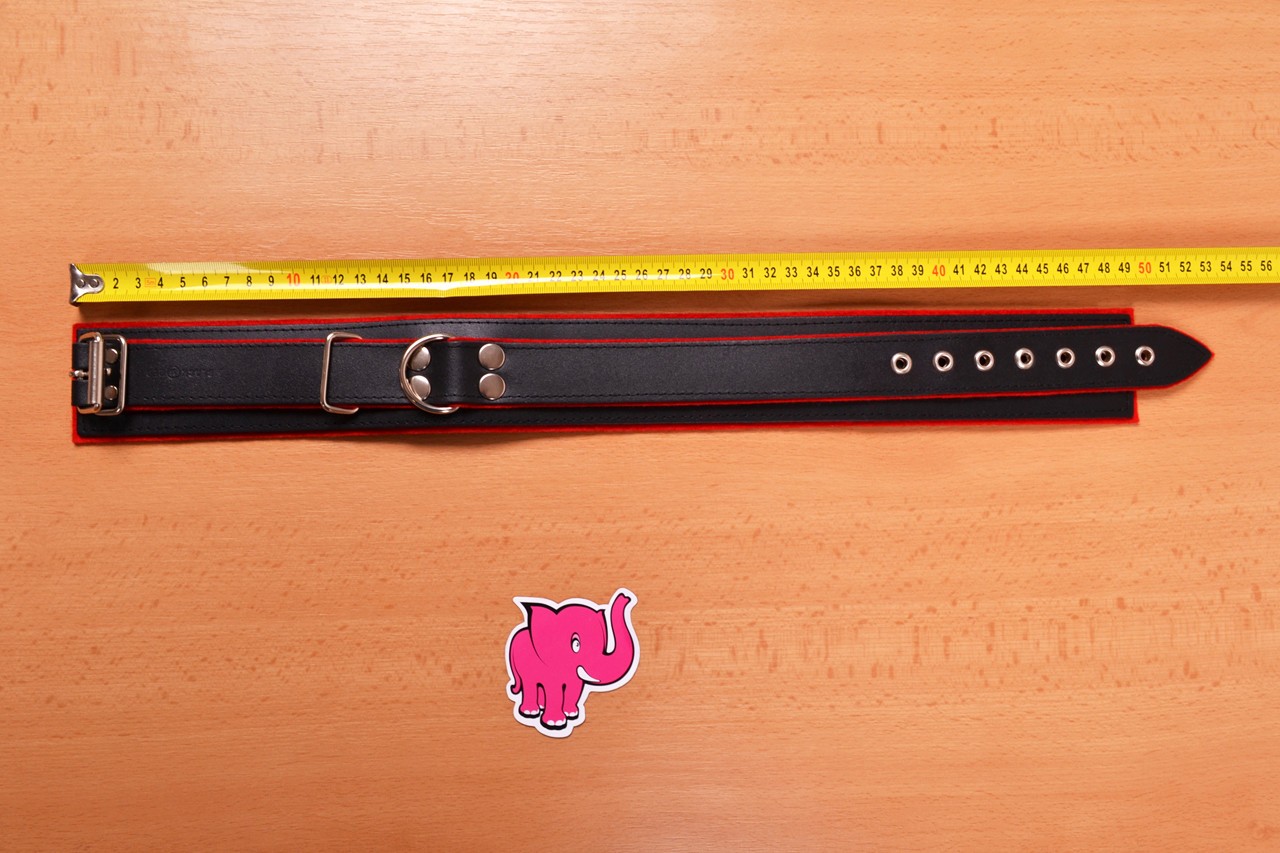 Kožený obojok na krk - meriame dĺžku obojku