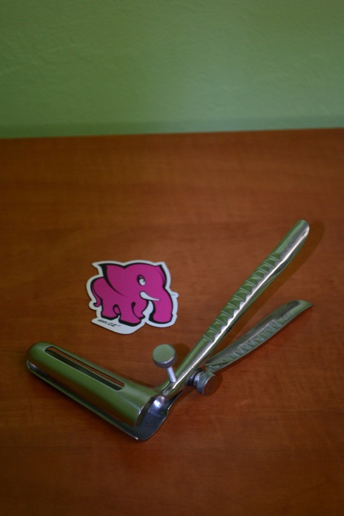 Análny spekulum (zrkadla)