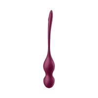 Satisfyer Love Birds Vary