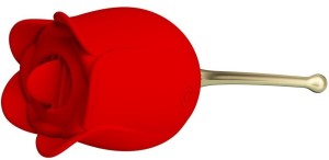 Pretty Love Rose Lover