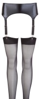 NO:XQSE Suspender Belt S